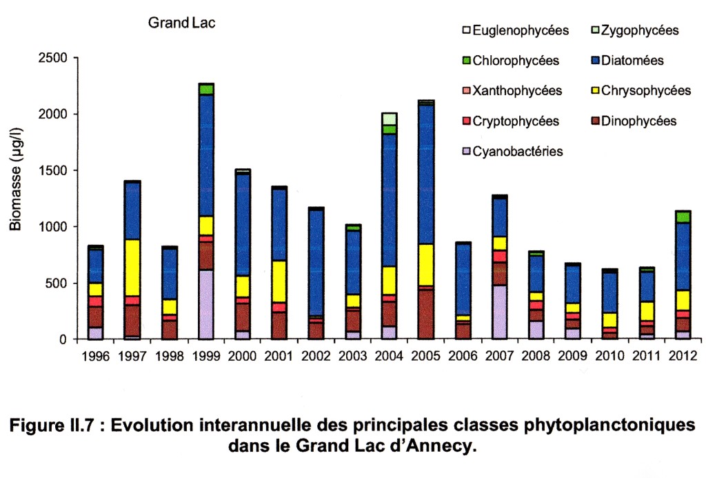 Phytoplankton annual001