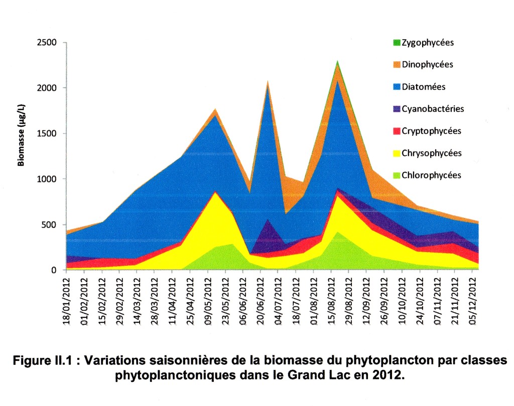 Phytoplankton seasonal001