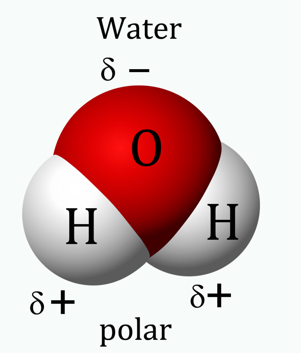 water-and-methane-space-filling